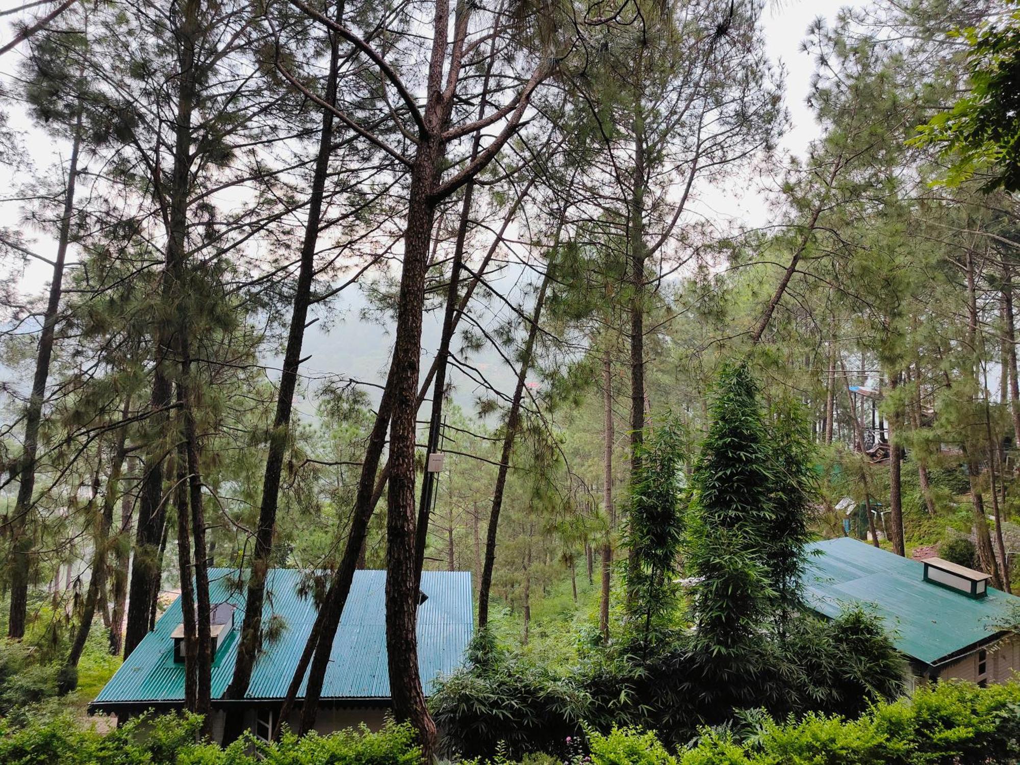 Kasauli Hills Resort Buitenkant foto